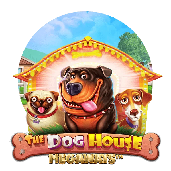 Mega Moolah at SpinWinner Casino